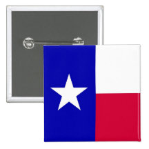 Flag of Texas Pin