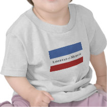 Flag of the Treinta y Tres t-shirts
