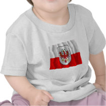 Flag of Tyrol, Austria t-shirts