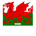 Flag of Wales Tee t-shirts by DarkSpectrum Flag of Wales Tee t-shirts