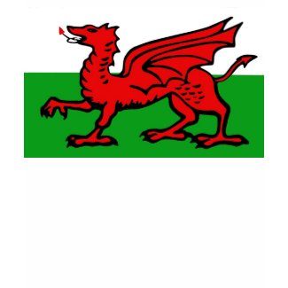 Flag of Wales shirt