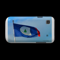 Flag of Warren County casemate cases