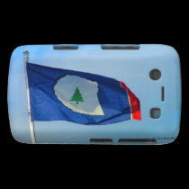 Flag of Warren County casemate cases