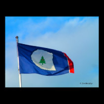 Flag of Warren County posters