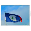 Flag of Warren County Tennessee cards by bhbphotos Flag of Warren County Tennessee cards