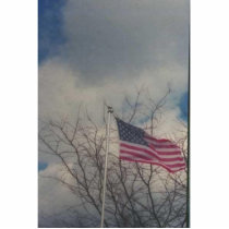 flag photo sculptures by VIKINGJIM flag photo sculptures