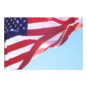 Flag posters