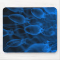 Flagellum Fellas Mousepad by robertllynch Flagellum Fellas Mousepad