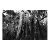 Flagler Railroad 2 posters