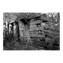Flagler's Ruins 2 posters