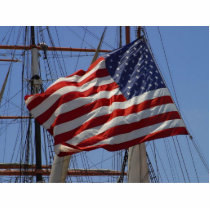 Flags American photo sculptures