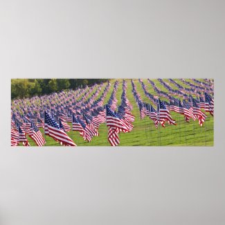 Flags at Art Hill-9-11 print