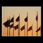 Flags at Sunset Postcard