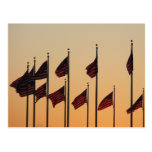 Flags at Sunset Postcard
