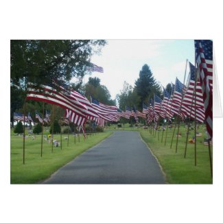 Flags in Cemetery card