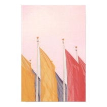 Flags posters