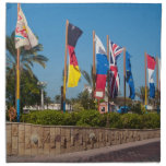 Flags Printed Napkin