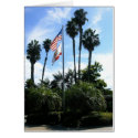 Flags @ San Diego Zoo cards by moxieann Flags @ San Diego Zoo cards