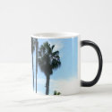 Flags @ San Diego Zoo mugs by moxieann Flags @ San Diego Zoo mugs