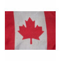 flags t-shirts