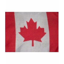 flags t-shirts by pbkooistra flags t-shirts