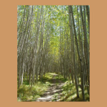 Flagstaff Aspens posters