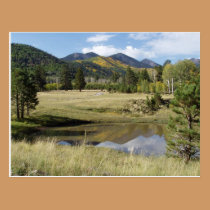 Flagstaff Locket Meadow postcards