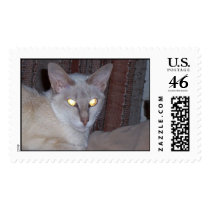  FLAKE postage