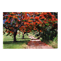Flamboyan trees posters by Sandhaus Flamboyan trees posters