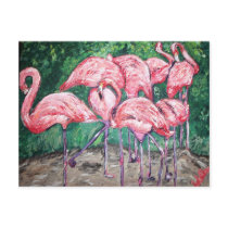 "Flamboyant Flamingos" postcards
