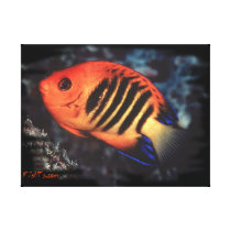 Flame Angelfish Is it real Canvas Print
