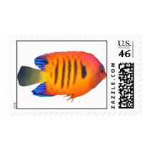 Flame Angelfish US Postage postage