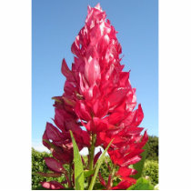 Flame Flower cutout magnet photo sculptures
