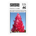 Flame Flower postage by wendyqzx Flame Flower postage