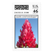Flame Flower postage by wendyqzx Flame Flower postage