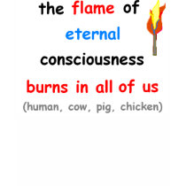Flame Ladies Top t-shirts
