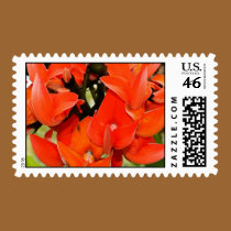 Flame of the Forest stamps