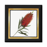 Flame Red Bottle Brush magnets