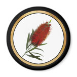 Flame Red Bottle Brush magnets