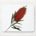Flame Red Bottle Brush mousepads