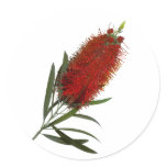 Flame Red Bottle Brush stickers