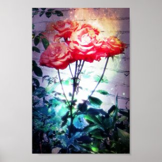 Flame Roses Print print