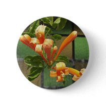 Flame vine 2 buttons by LivingNature Flame vine 2 buttons