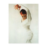 flamenco, danicing, dancer, spanish, spain,