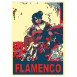 Flamenco Shirt