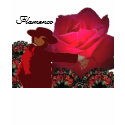 Flamenco t-shirts