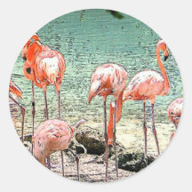 Flamencos Etiquetas Redondas