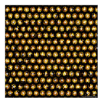 Flames In posters by WildButterflyDesigns Flames In posters