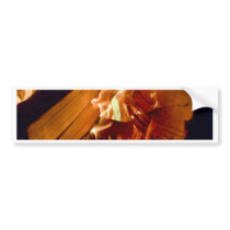 Flames of Fire Bumper Sticker