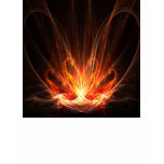 Flames of passion t shirt